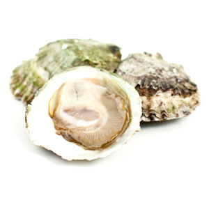 Oesters Zeeuwse Platte 3/0-12